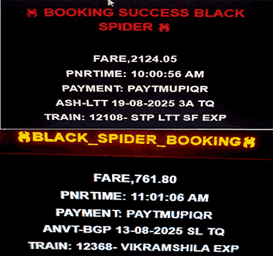 black panther tatkal software